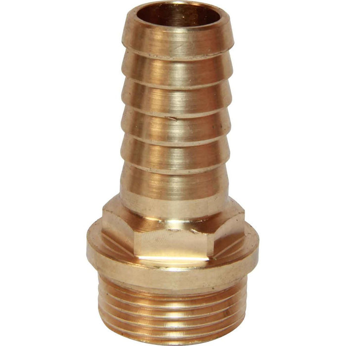 Bronze Hose Tail