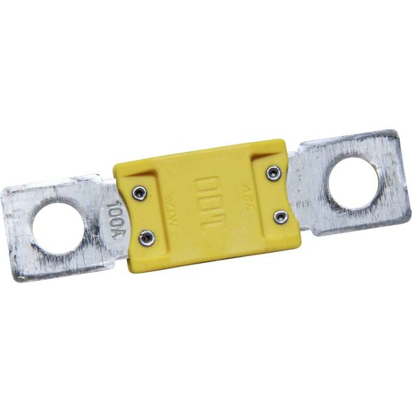 Mega Fuse 100amp 8mm Stud