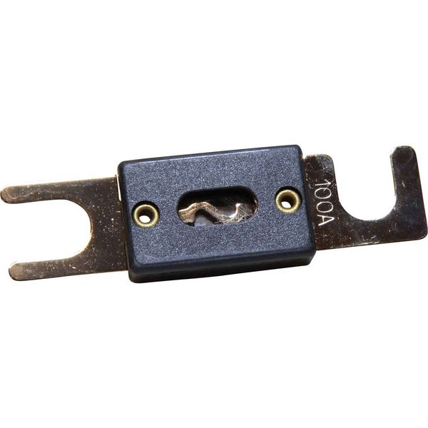 ANL Fuse (100 Amp / 5/16" Studs)
