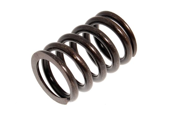 Bukh Valve Spring DV10/20 000E6054