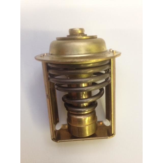 Bukh Thermostat